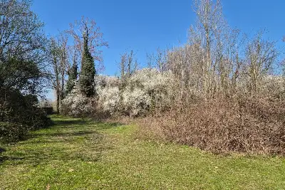 Agricolo in vendita, Via Sant'Agostino, Mariano Comense