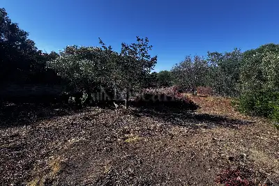 Edificabile Residenziali in vendita, Via Mar Egeo. Pittulongu, Olbia