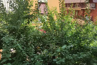 Casa in vendita, Via Camillo Negro, Roma