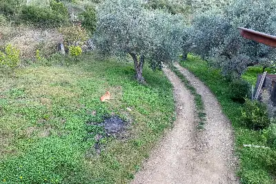 Villa in vendita, Contrada Villa Simeoni, Laureana Cilento