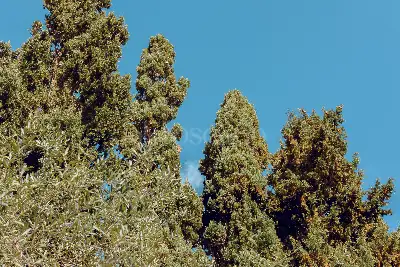 Villa in vendita, SP 291 Sassari - Fertilia , Sassari