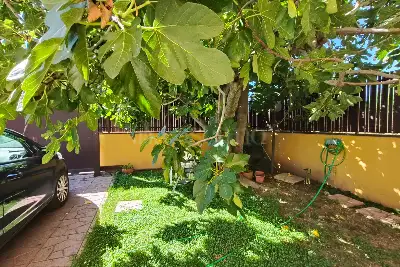 Villa Plurifamiliare in vendita, Via della Marranella di Marino, Roma