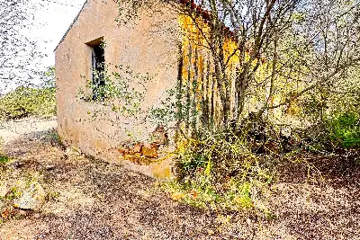 Agricolo in vendita, Trudda , Loiri Porto San Paolo
