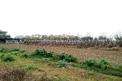 Agricolo in vendita, Via G. Donizetti, Martinsicuro