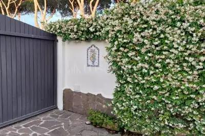 Villa Plurifamiliare in vendita, via degli Anemoni 3, Sabaudia