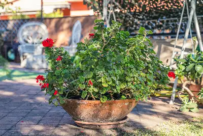 Villa in vendita, Via G. Grasso, San Gregorio di Catania