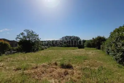 Agricolo in vendita, Via Carezzano, Roma