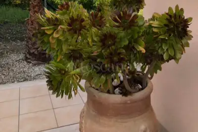 Villa in vendita, Via Firenze, Buseto Palizzolo