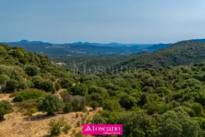 Agricolo in vendita, Monti, Monti