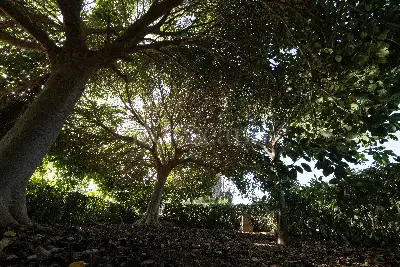 Villa in vendita, Contrada Martognella, Valderice