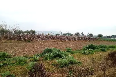 Agricolo in vendita, Via G. Donizetti, Martinsicuro