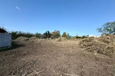 Agricolo in vendita, Via del Nuraghe, Olbia