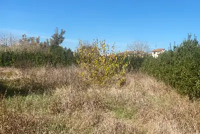 Agricolo in vendita, Via della storta, Roma