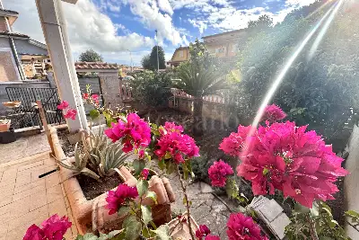 Villa Bifamiliare in vendita, Viale California, Ladispoli