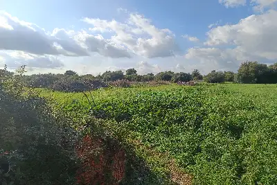 Edificabile Residenziali in vendita, Noto , Noto