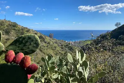 Agricolo in vendita, Contrada mastrissa , Taormina, Taormina