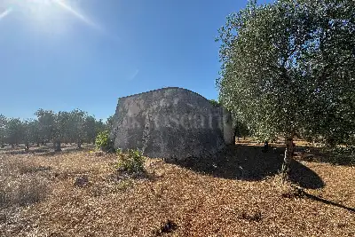 Villa in vendita, contrada Santa Caterina Grottone, Ostuni