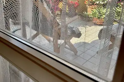 Casa in vendita, Via Colombo, Botticino