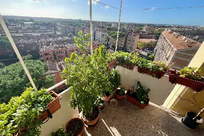 Casa in vendita, Viale Spartaco, Roma