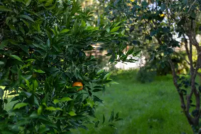 Villa in vendita, Strada del Passo, Latina