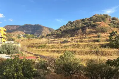Agricolo in vendita, Via Provinciale per Armo-Gallina, Reggio di Calabria