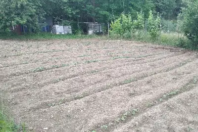 Casa Indipendente in vendita, Località Curcelle, Vernio