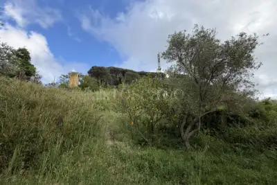 Agricolo in vendita, Via San Cosimo, Messina