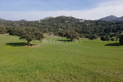 Agricolo in vendita, Loc Graminatoggiu , Loiri Porto San Paolo