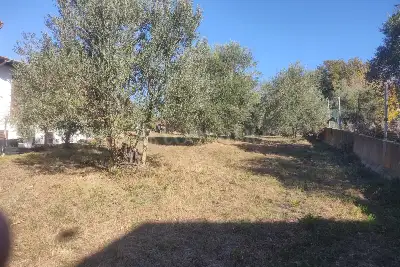 Agricolo in vendita, Vicolo della Patatona , Ciampino