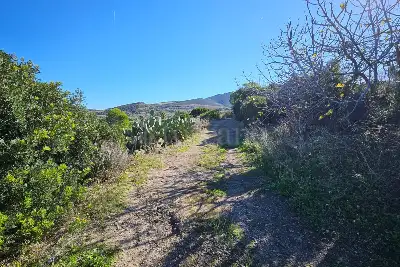 Agricolo in vendita, Località Li Paddimi, Castelsardo