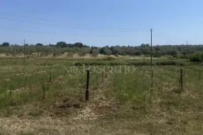 Agricolo in vendita, Strada Cassia Sud, Viterbo