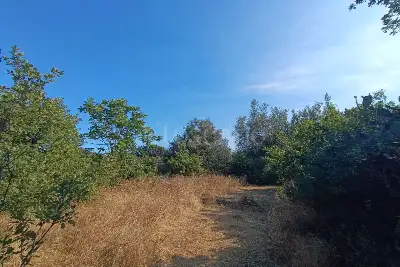 Edificabile Commerciale in vendita, Via Catania, Trecastagni
