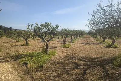 Agricolo in vendita, Via Emanuela, Erice
