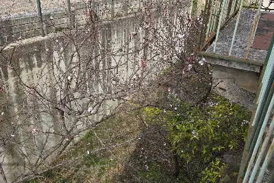 Villa Bifamiliare in vendita, Via G. Rossa, Penne