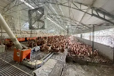 Capannone in vendita, Arlena di Castro, Arlena di Castro