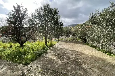 Casa Indipendente in vendita, Contrada Aranciarella, Messina