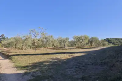 Agricolo in vendita, Localita' Bibbiano, Colle di Val d'Elsa