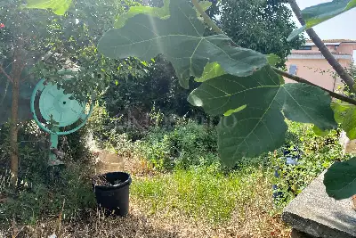 Edificabile Residenziali in vendita, Via Oleggio, Roma