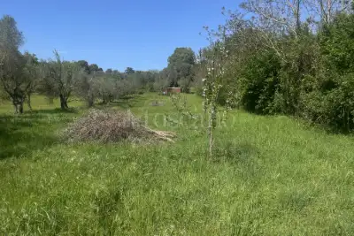 Agricolo in vendita, Strada Cassia Sud, Viterbo