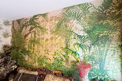 Casa in vendita, Via Carbonia 1, Alghero