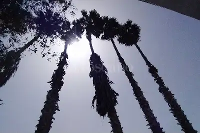 Villa in vendita, Via San Giovanni Bosco, Siracusa