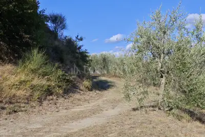 Agricolo in vendita, Localita' Bibbiano, Colle di Val d'Elsa