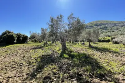 Rustico in vendita, Strada Provinciale 50, Messina