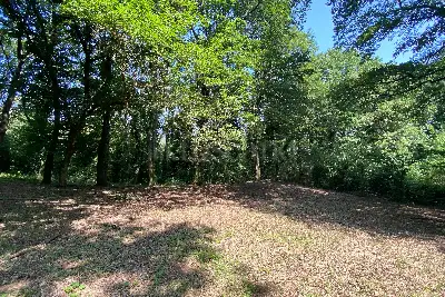 Agricolo in vendita, Via dei Boschi, Sutri