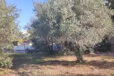Agricolo in vendita, Vicolo della Patatona , Ciampino