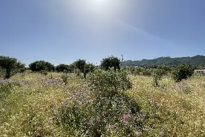 Agricolo in vendita, Piano Torre Spartà, Messina