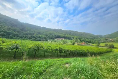 Agricolo in vendita, Via Fontanino, Concesio