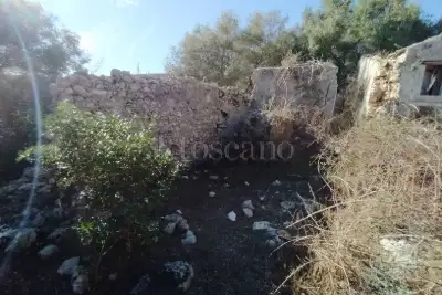 Agricolo in vendita, Noto, Noto