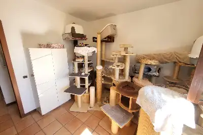 Villa Bifamiliare in vendita, Via Giulio Bas, Roma