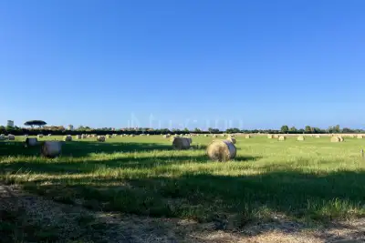 Agricolo in vendita, Viale delle Pagliete, Fiumicino